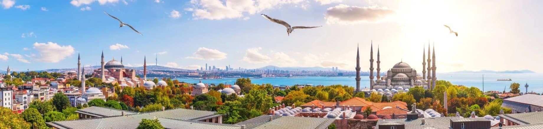 turkey hair transplantation clinic